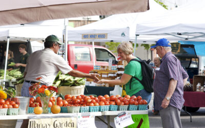 From Field to Table: The Vibrant Role of Farmers Markets in Local Food Economies